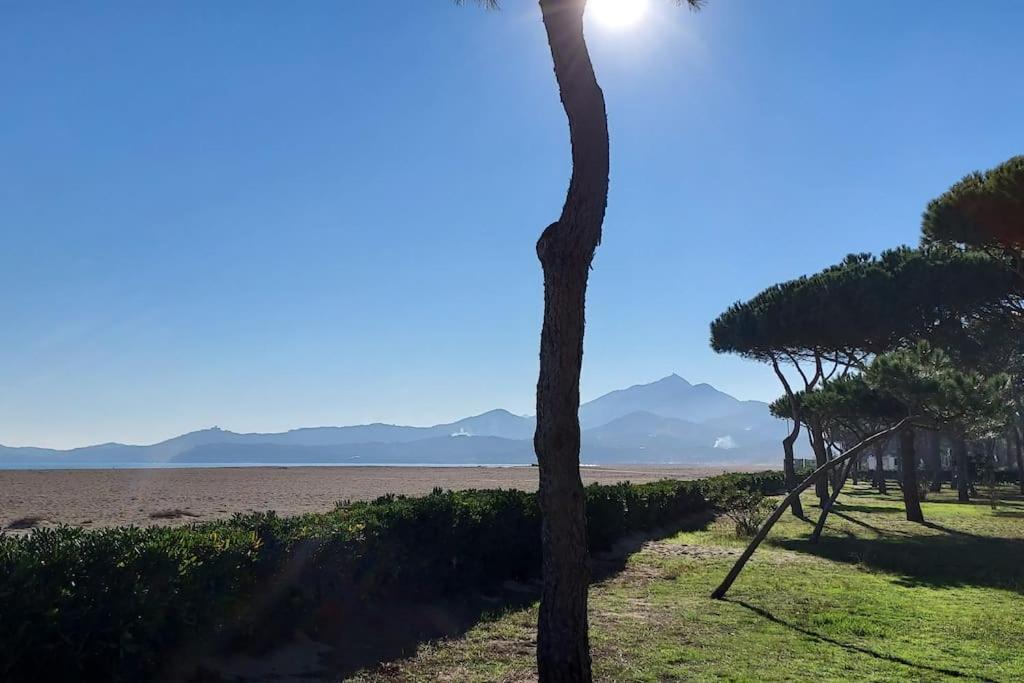 Appartement Renove Avec Balcon A 100 M De La Plage Argeles-sur-Mer Exterior photo
